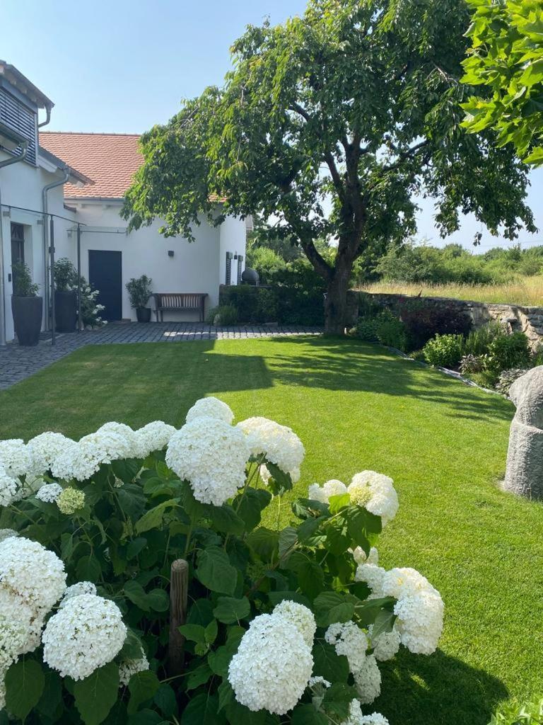 Apartament Colle Divino Würzburg Zewnętrze zdjęcie