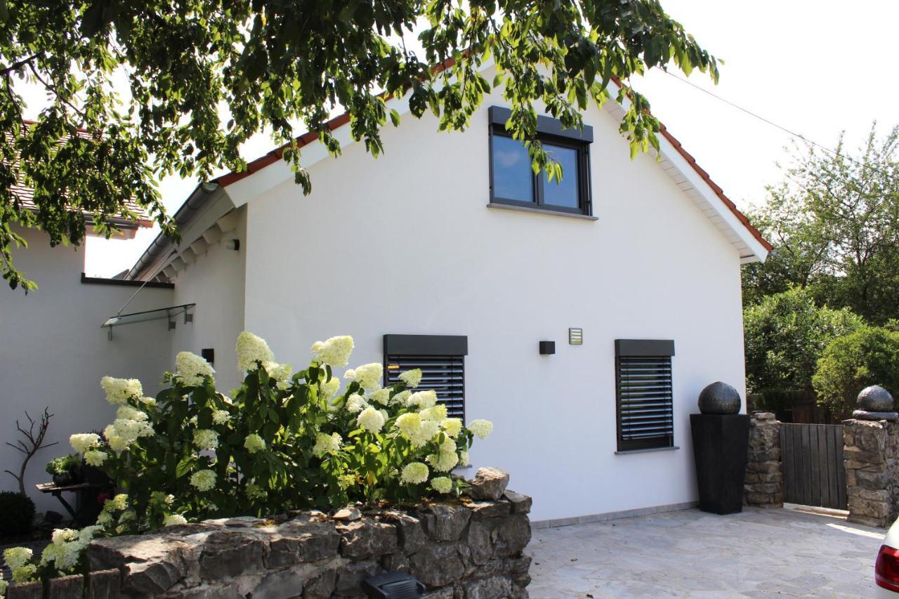 Apartament Colle Divino Würzburg Zewnętrze zdjęcie